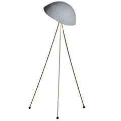 Funny Buddy Floor Lamp with Concrete Noggin and Brass Tripod Legs