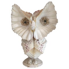 Funny Owl made of Shells. French. Circa 1970