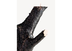 Fuoco Candle Holder in Bronze by Roberto Sironi