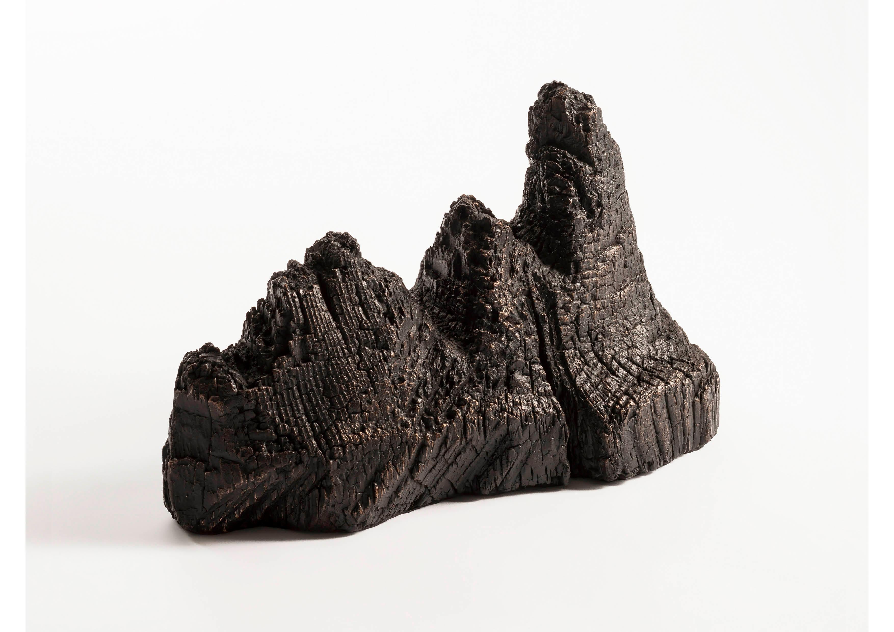 Roberto Sironi has sought out the remains of trees that have been burned by fire, trunks hit by lightning, charred branches salvaged from the mountains. With the ancient technique of bronze casting, Roberto has transformed them in objects of