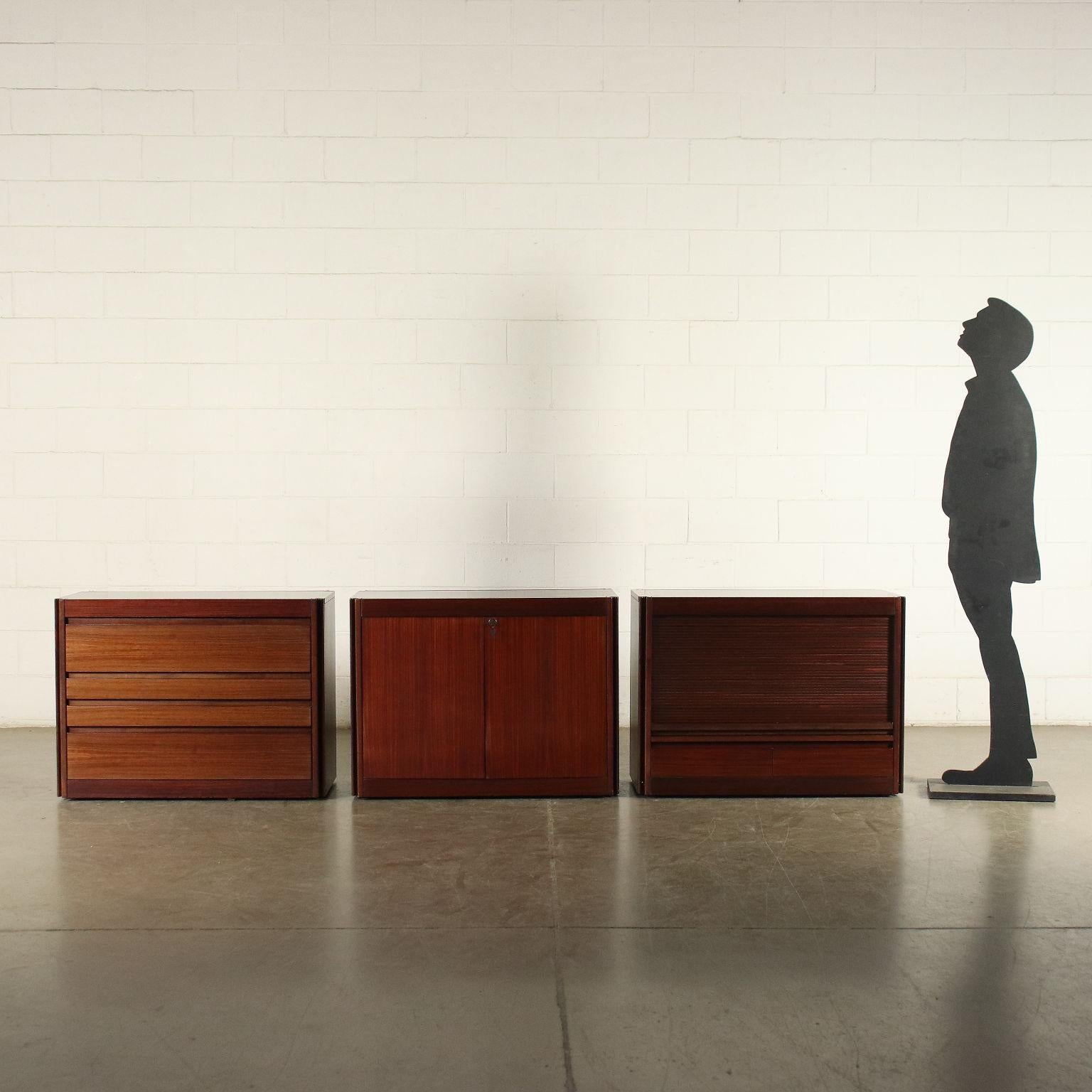 Group of modular furniture, with hinged doors, shutter and exposed drawers, veneered wood.