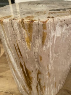 Möbel-Skulptur, versteinertes Holz