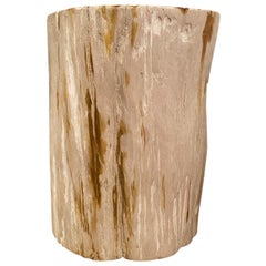 Furniture Sculpture, Trias Petrified Wood