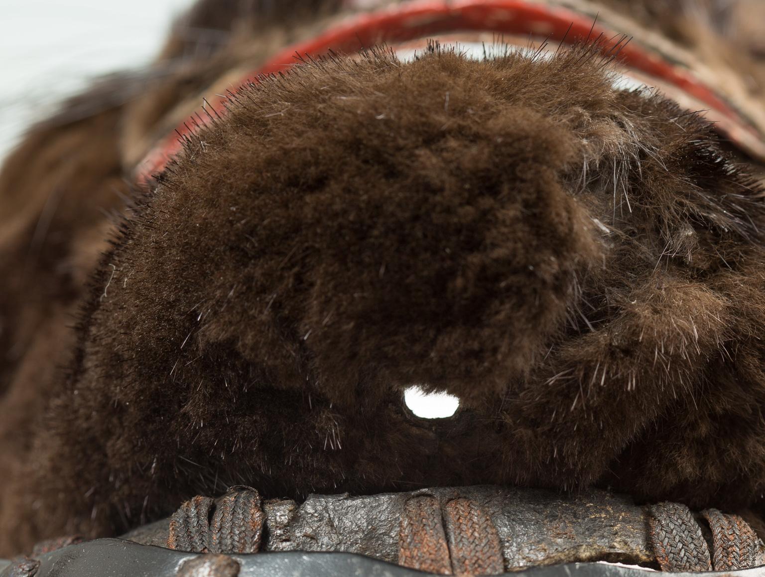 Furred Samurai Armor Mask 'Shokumō Menpō', 19th Century In Good Condition In Milano, IT