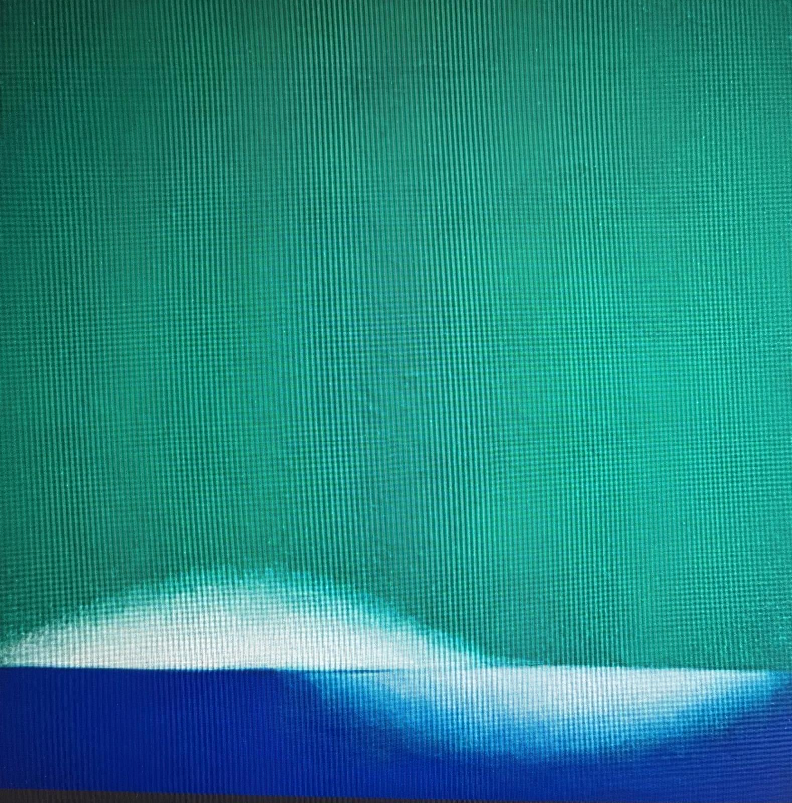 Japanese Contemporary Art by Fusako Ekuni - Into the Light