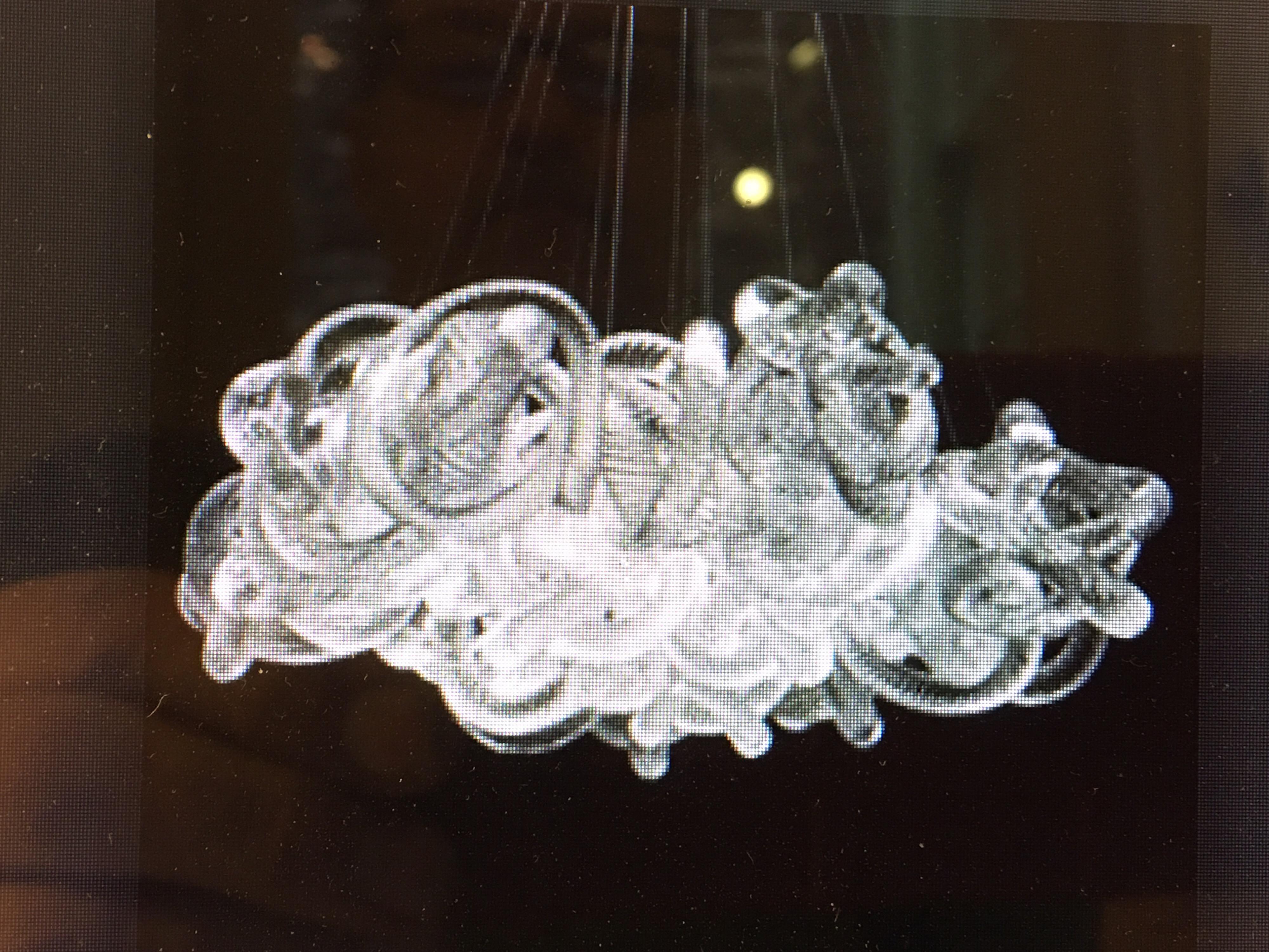 Fusion Z Glass Knot Chandelier at 1stDibs