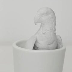 Parrot Cups