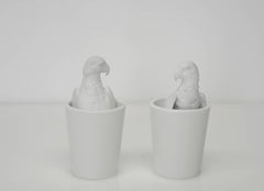 Parrot Cups