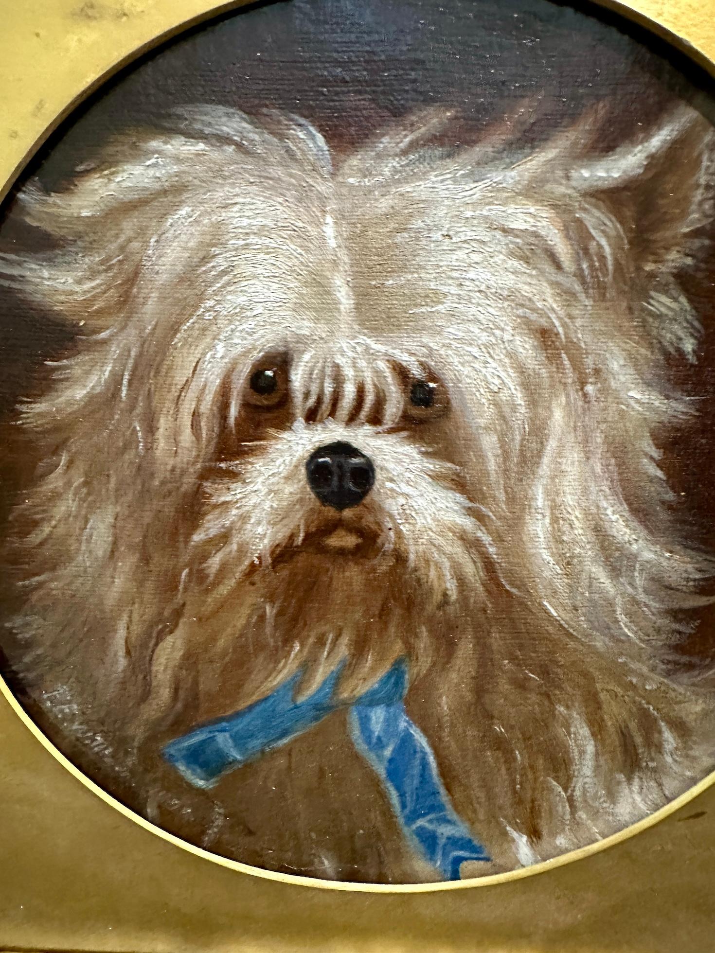 19th century English portrait of a dogs head, a terrier, or Bichon - Victorian Painting by F.W.Williams