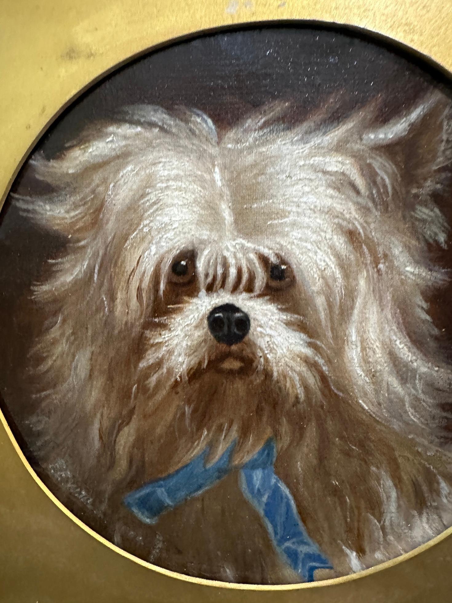 19th century English portrait of a dogs head, a terrier, or Bichon 1