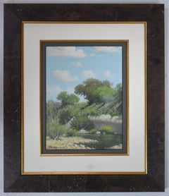 "SAN GABRIEL" GEORGETOWN TEXAS DATATO 1966 INCORNICIATO