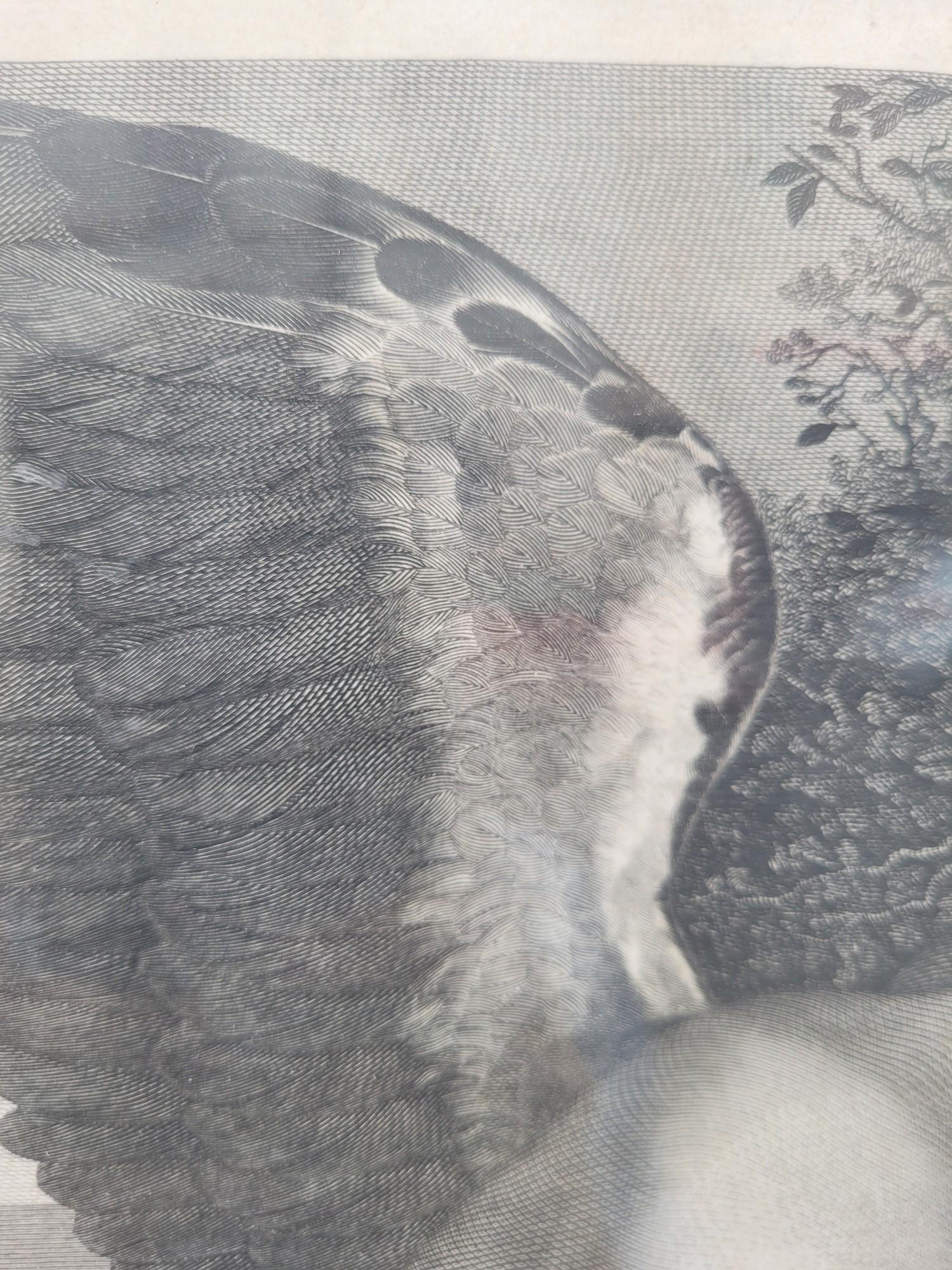 G Longhi, Il Genio De La Musica - Cupido, gerahmte Gravur, 19. Jahrhundert im Angebot 6