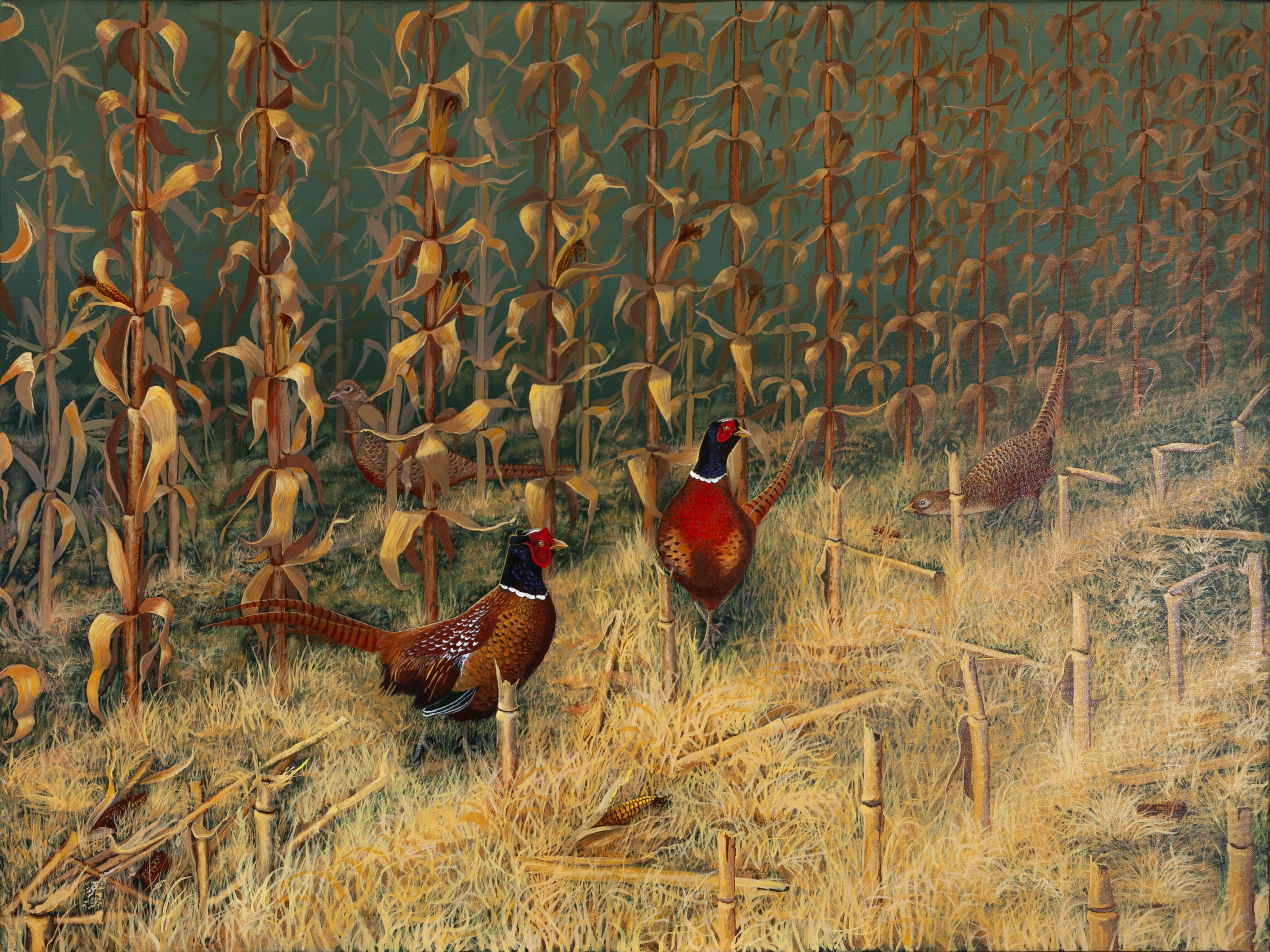 G. Martin Animal Painting - Three Pheasants in a Corn Field