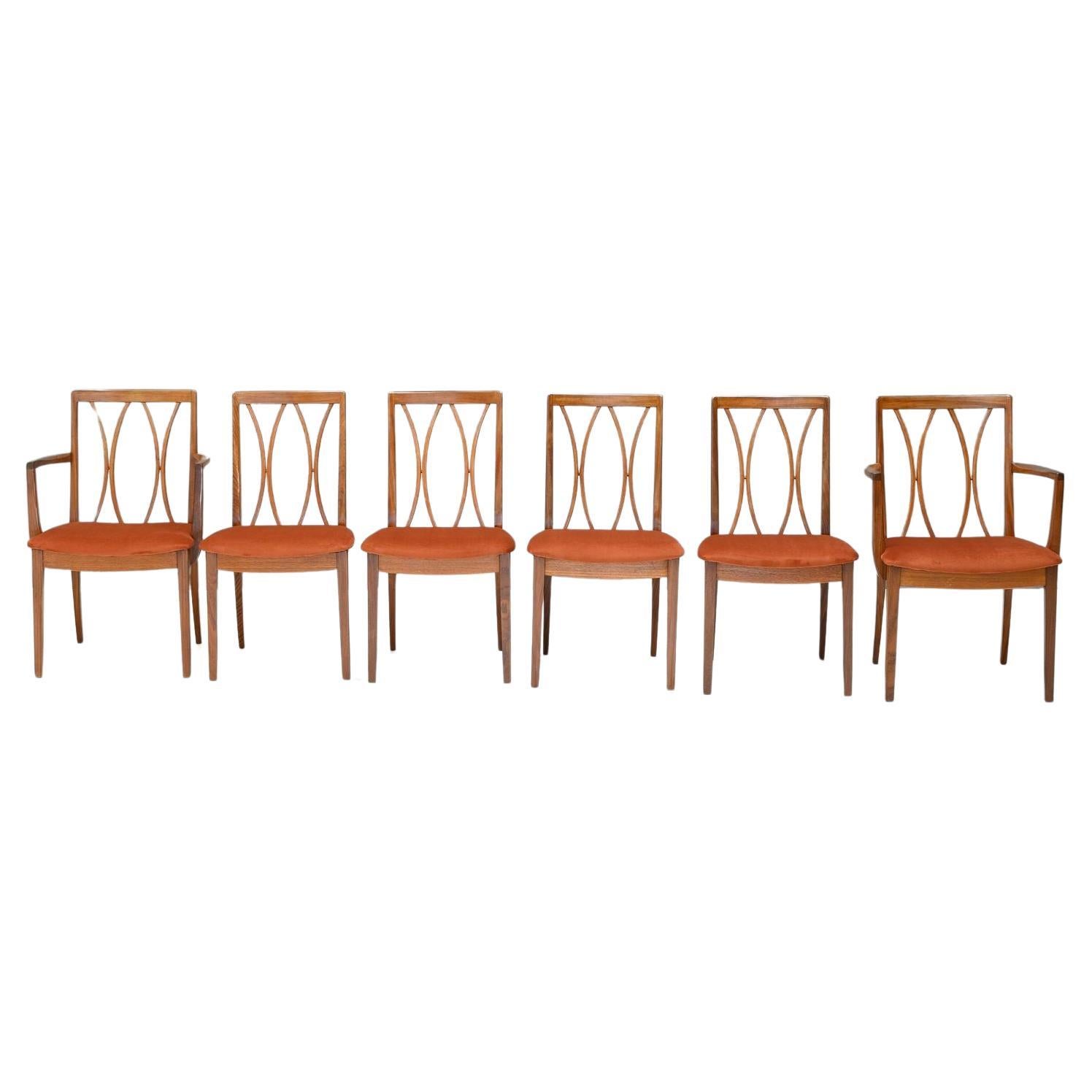 G-Plan Dining Chairs