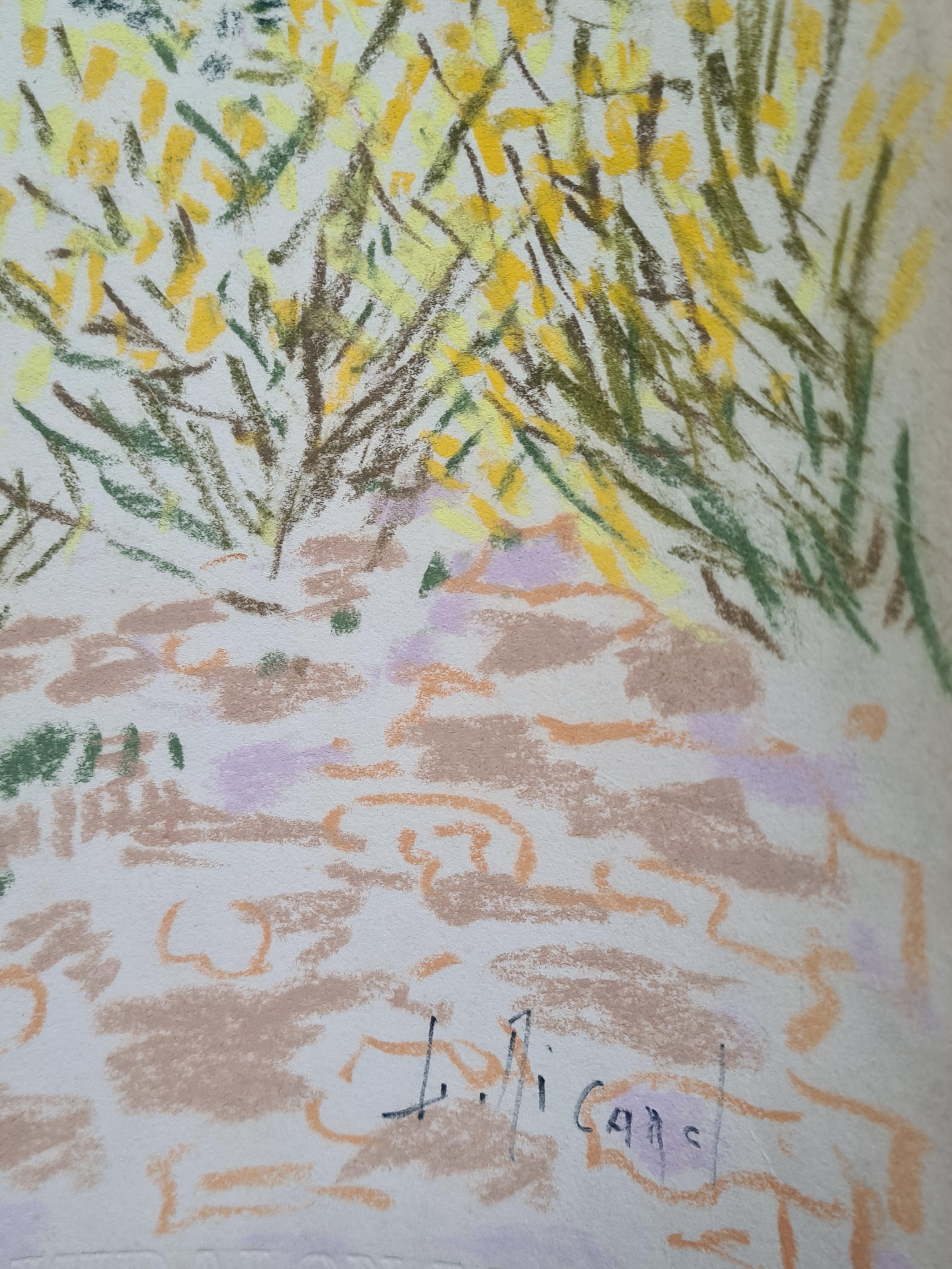 Paysage impressionniste, Les Alpes en Provence. - Art de G Ricard