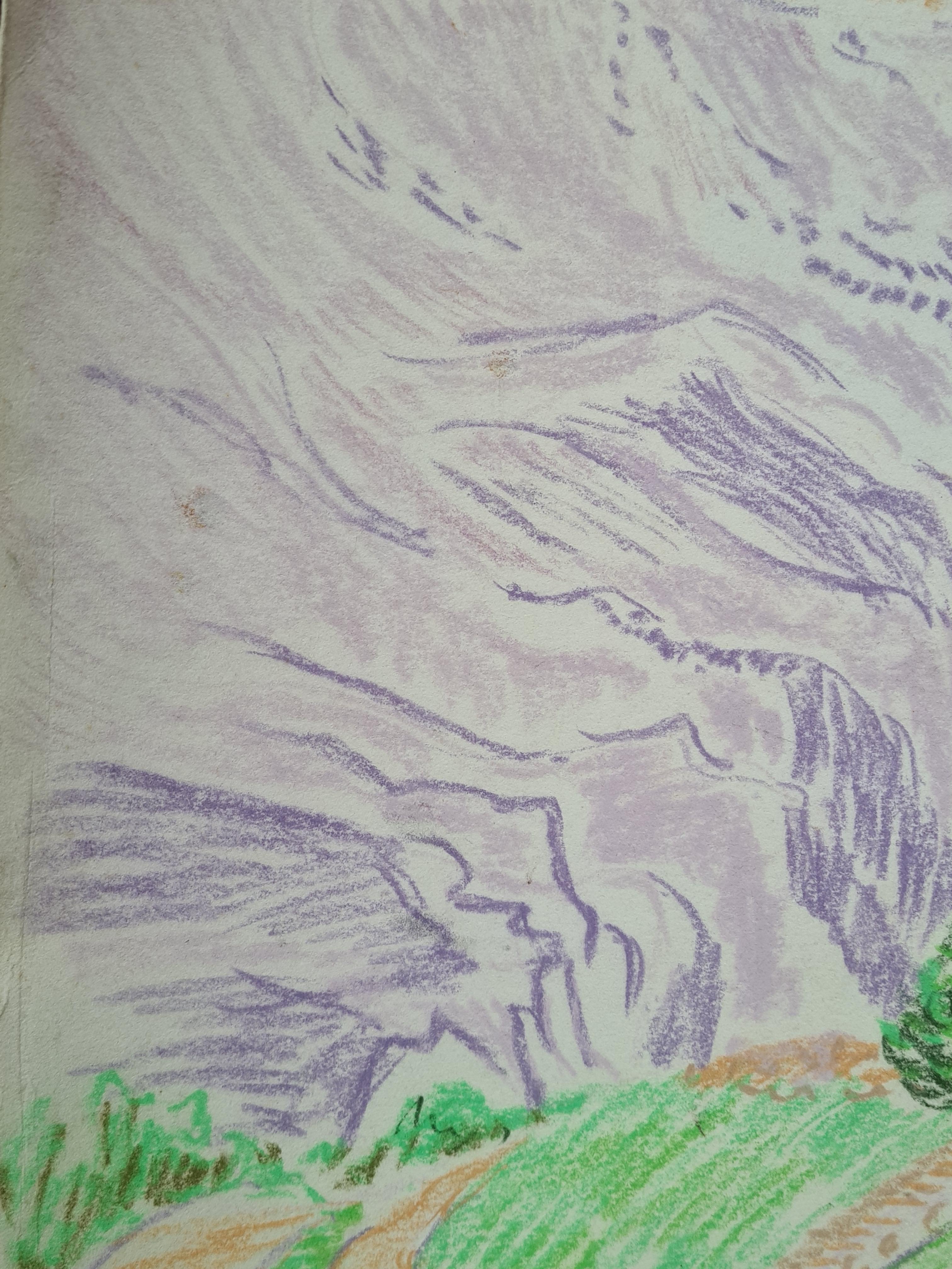 Pastel fauviste impressionniste français sur papier 'Canson' de qualité supérieure, paysage par G Ricard. Le tableau est signé en bas à droite. 

Une vue charmante et caractéristique du sud de la France sur une chaîne de montagnes colorée avec un