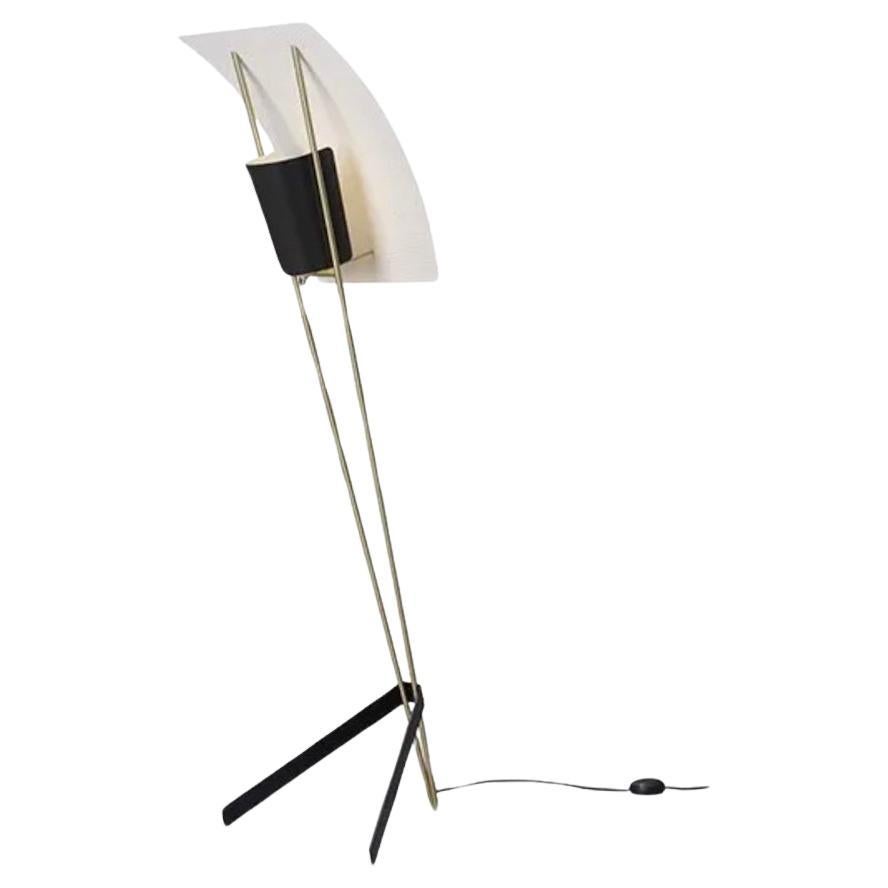 G30 Floor Lamp by Pierra Guariche