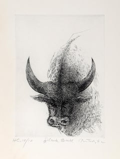 Toro nero