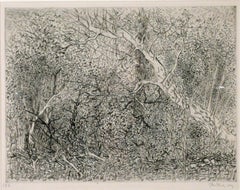 EN EL BOSQUE