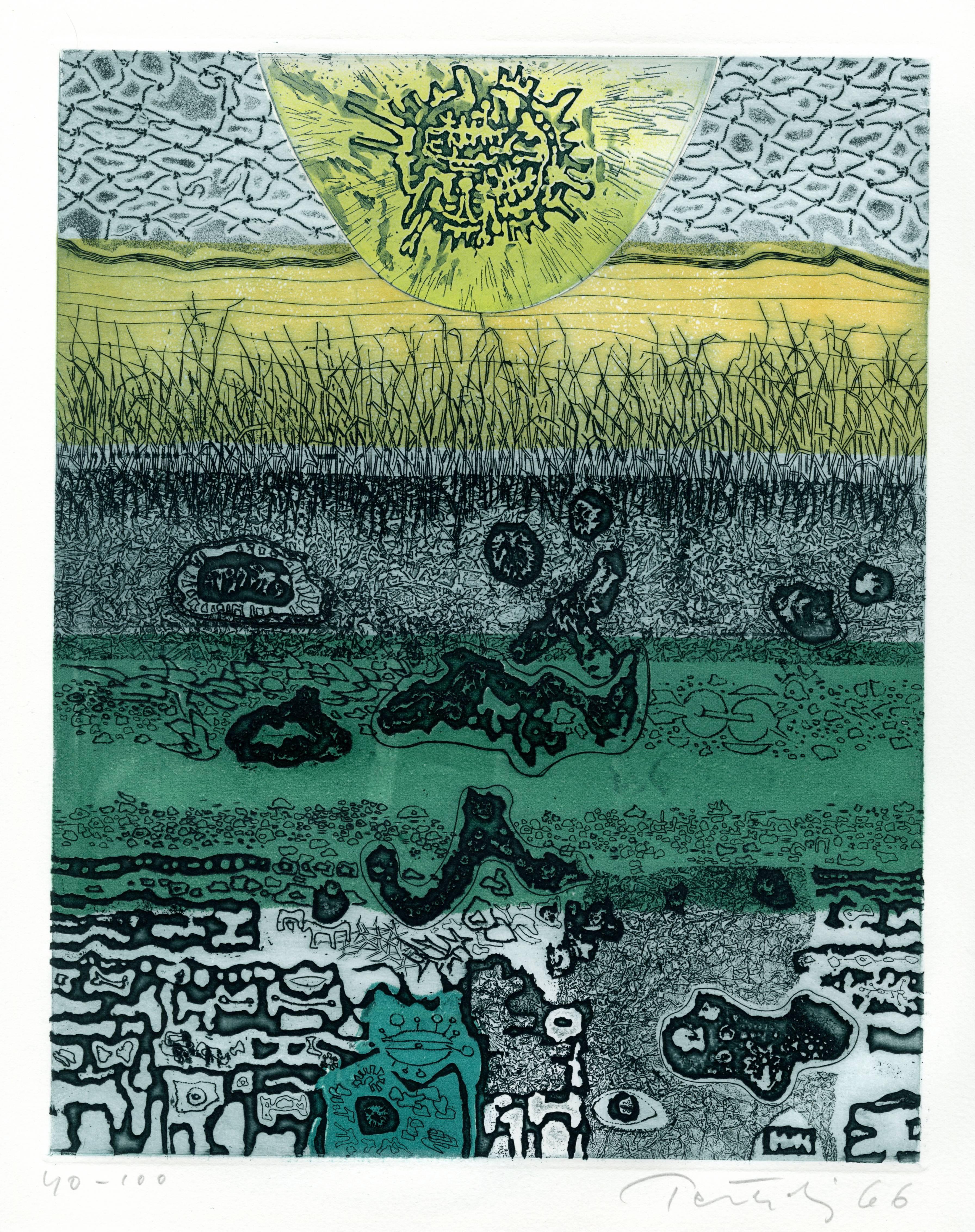 Tommy's Pond