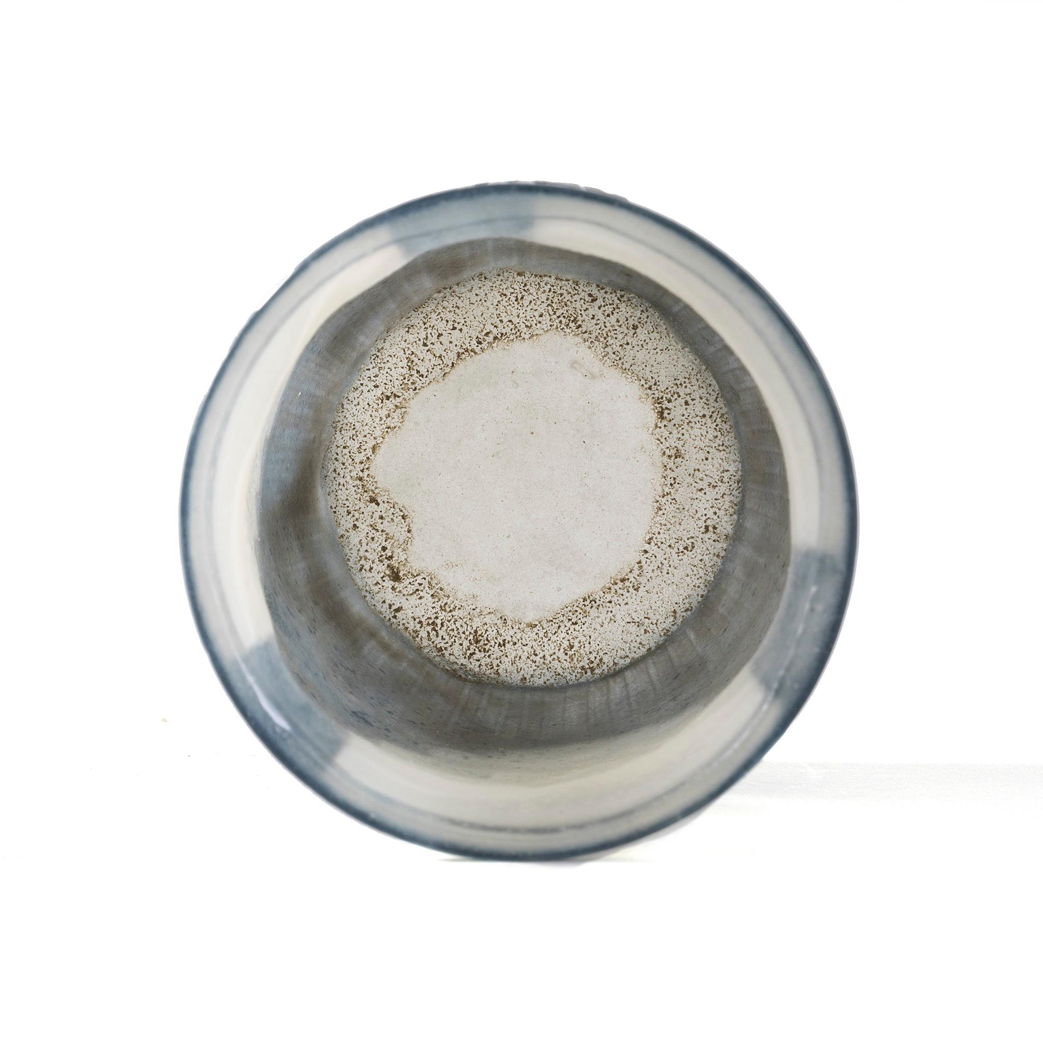 Francese Gabriel Argy-Rousseau “Les palombes” Pâte de Verre Glass Vase in vendita
