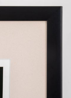 Gabriel Orozco Black Kites Giclee Print, 2004