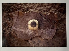 Large Photograph Dot Ball Chromogenic Photo Gabriel Orozco Mexican Art