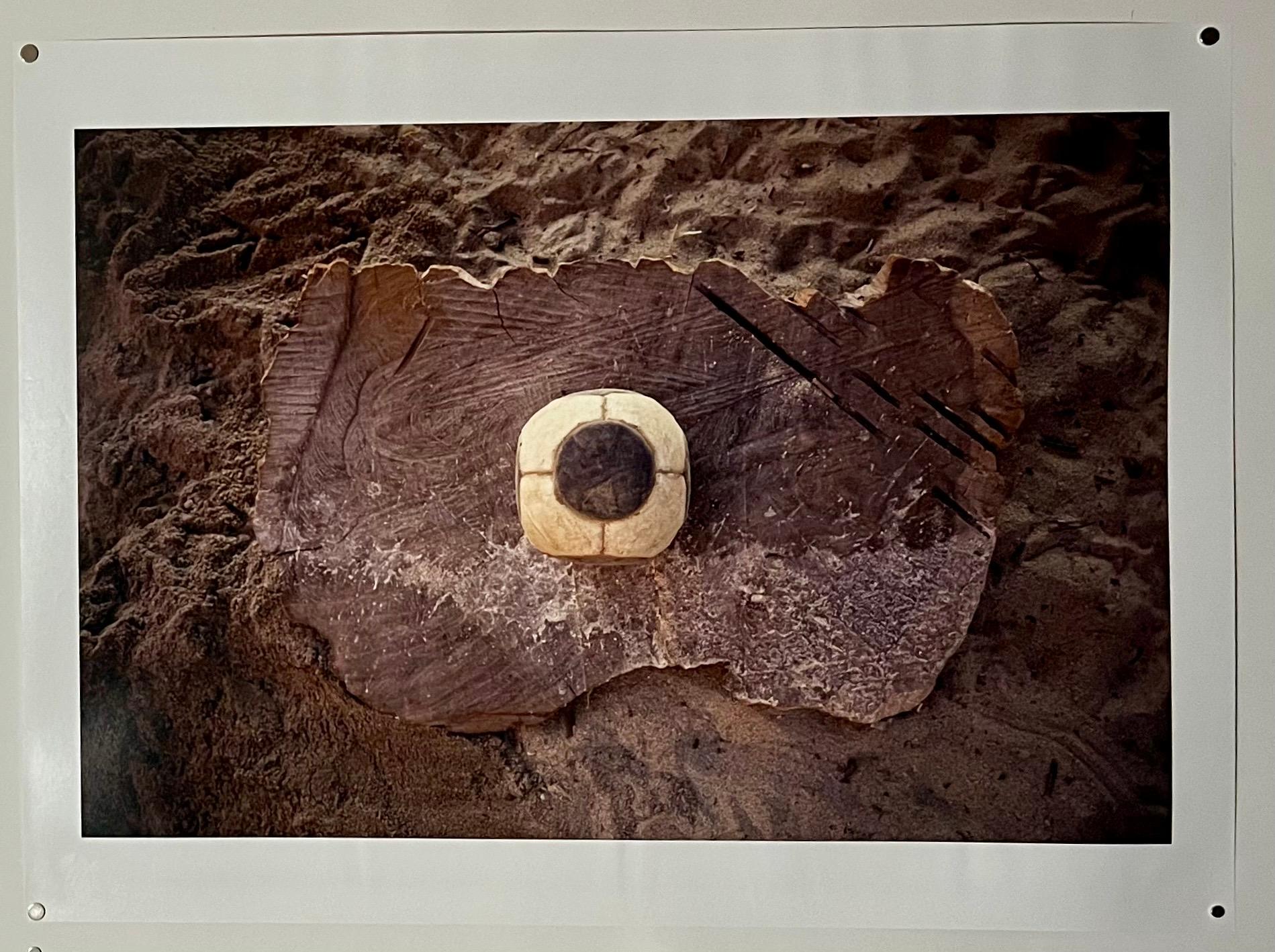 Fotografía grande Dot Ball Fotografía cromogénica Gabriel Orozco Arte mexicano 4