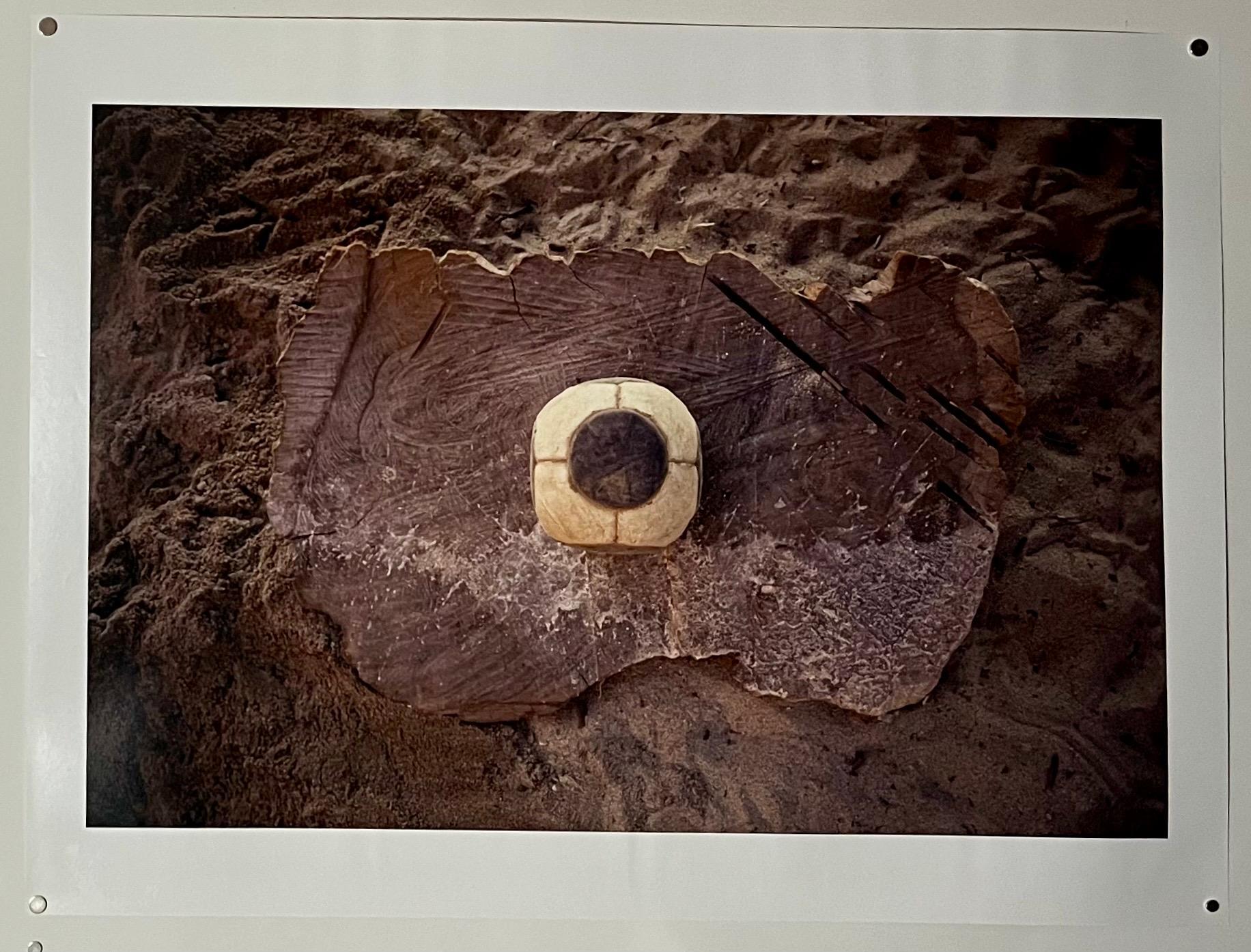 Fotografía grande Dot Ball Fotografía cromogénica Gabriel Orozco Arte mexicano 5