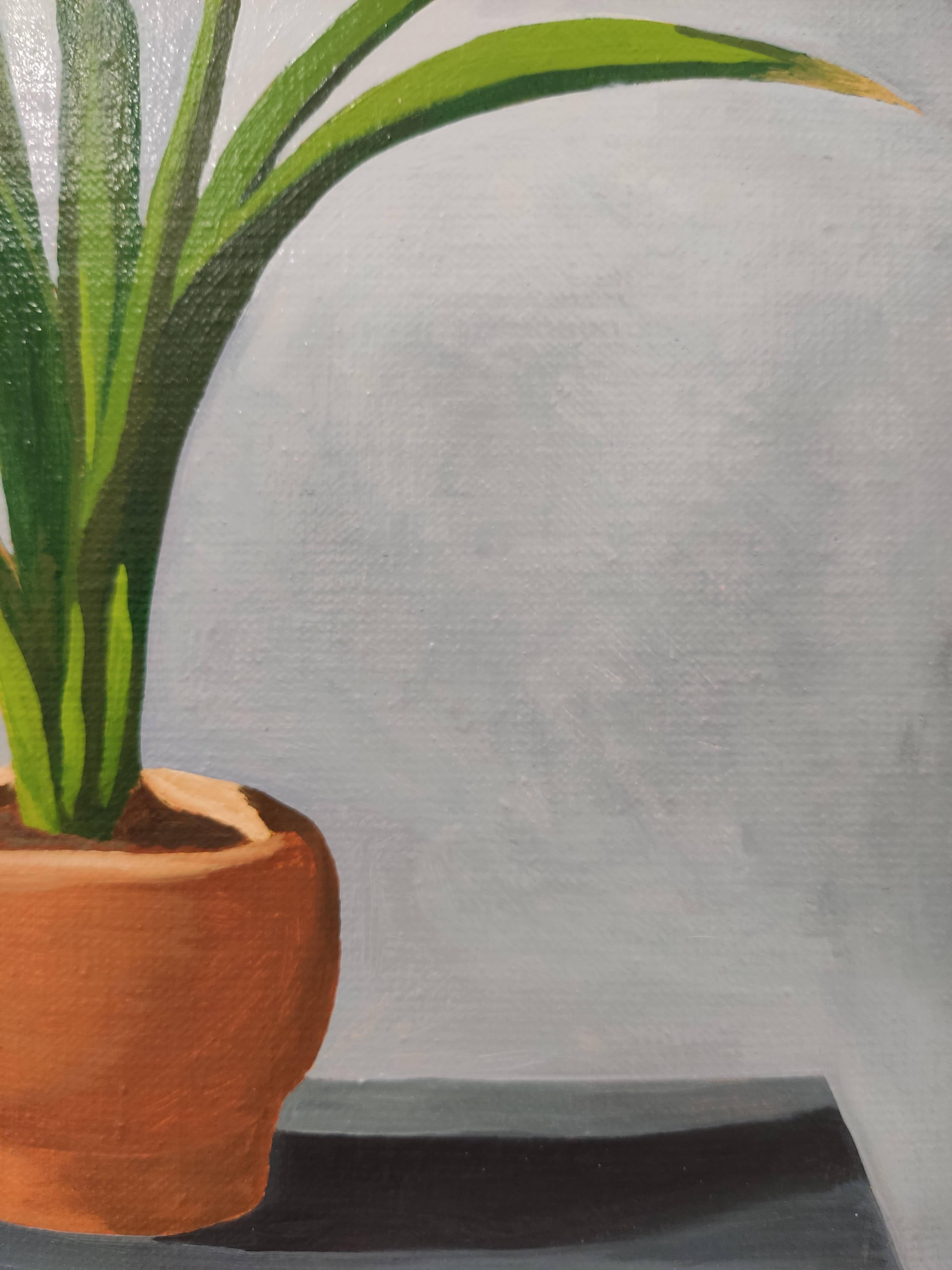 Amaryllis. Oil on Linen. Colorful still-life : Flowers, Interior, Plant - Photorealist Painting by Gabriel Riesnert