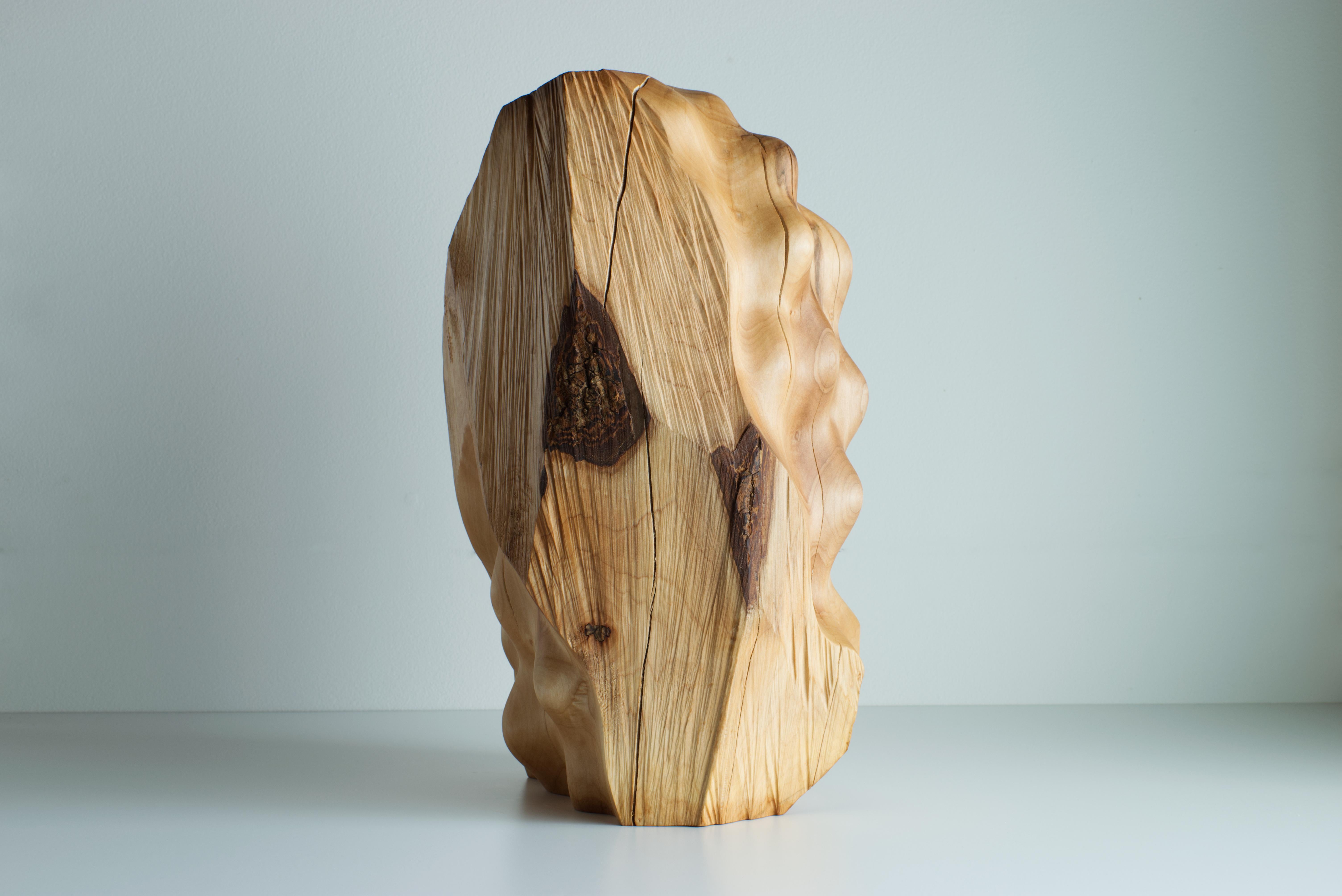 Duality (sculpture, wood, organic, dynamic, natural, brutalistic) - Sculpture by Gabriel Tarmassi