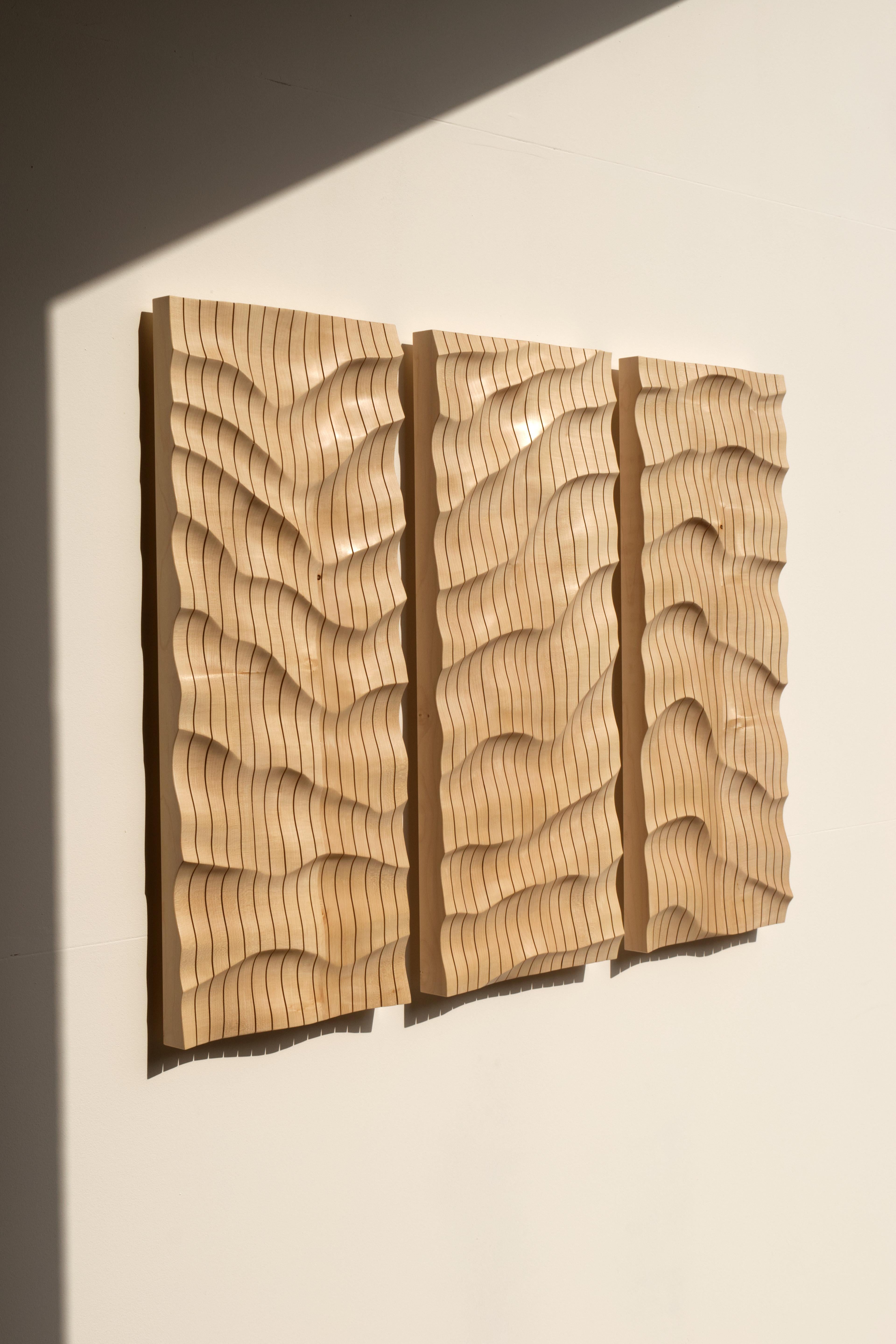 Triptych (abstract organic sculpture wall piece wood natural dynamic) - Sculpture by Gabriel Tarmassi
