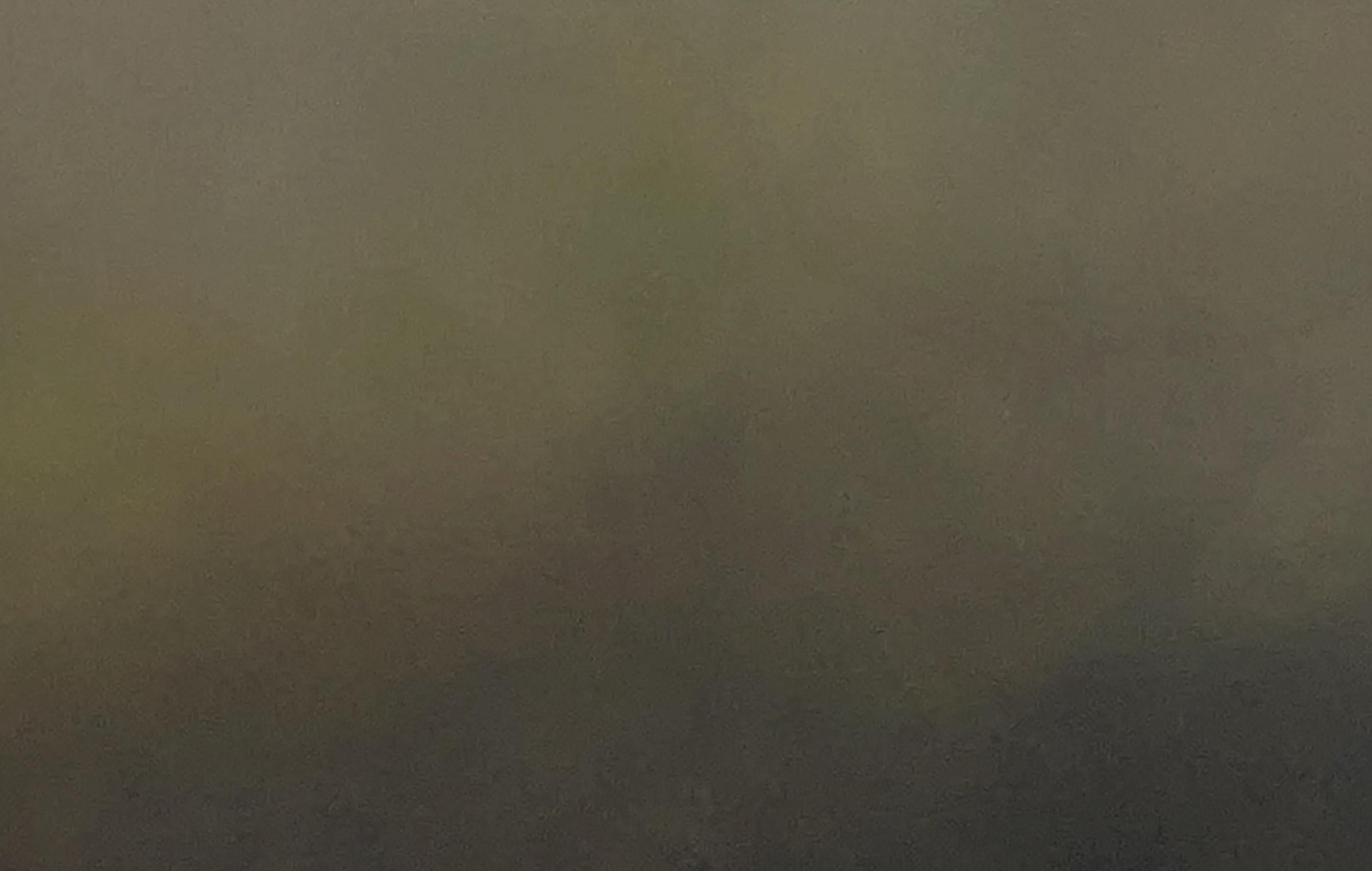 Bosque Sereno de Gabriela Azar Schreiner. Pintura abstracta contemporánea en venta 6