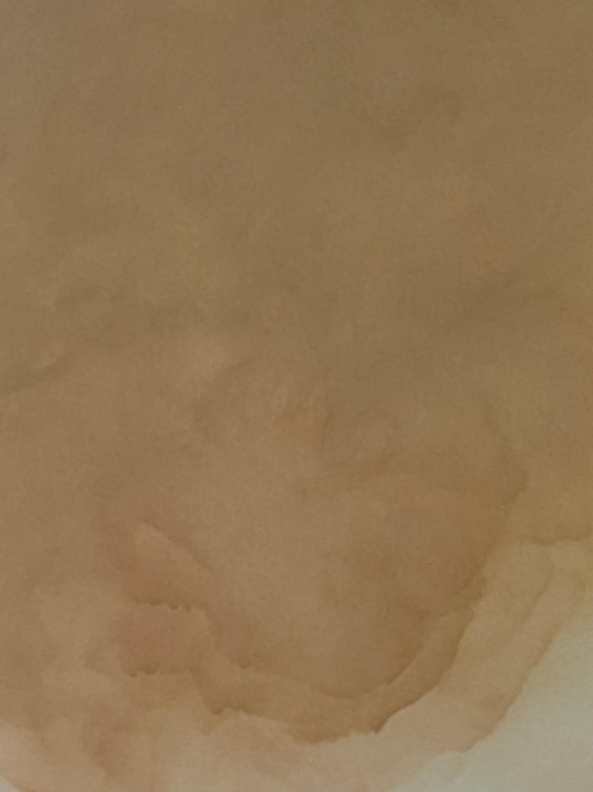 Rusted Murmure von Gabriela Azar Schreiner. Zeitgenössische abstrakte Malerei im Angebot 2