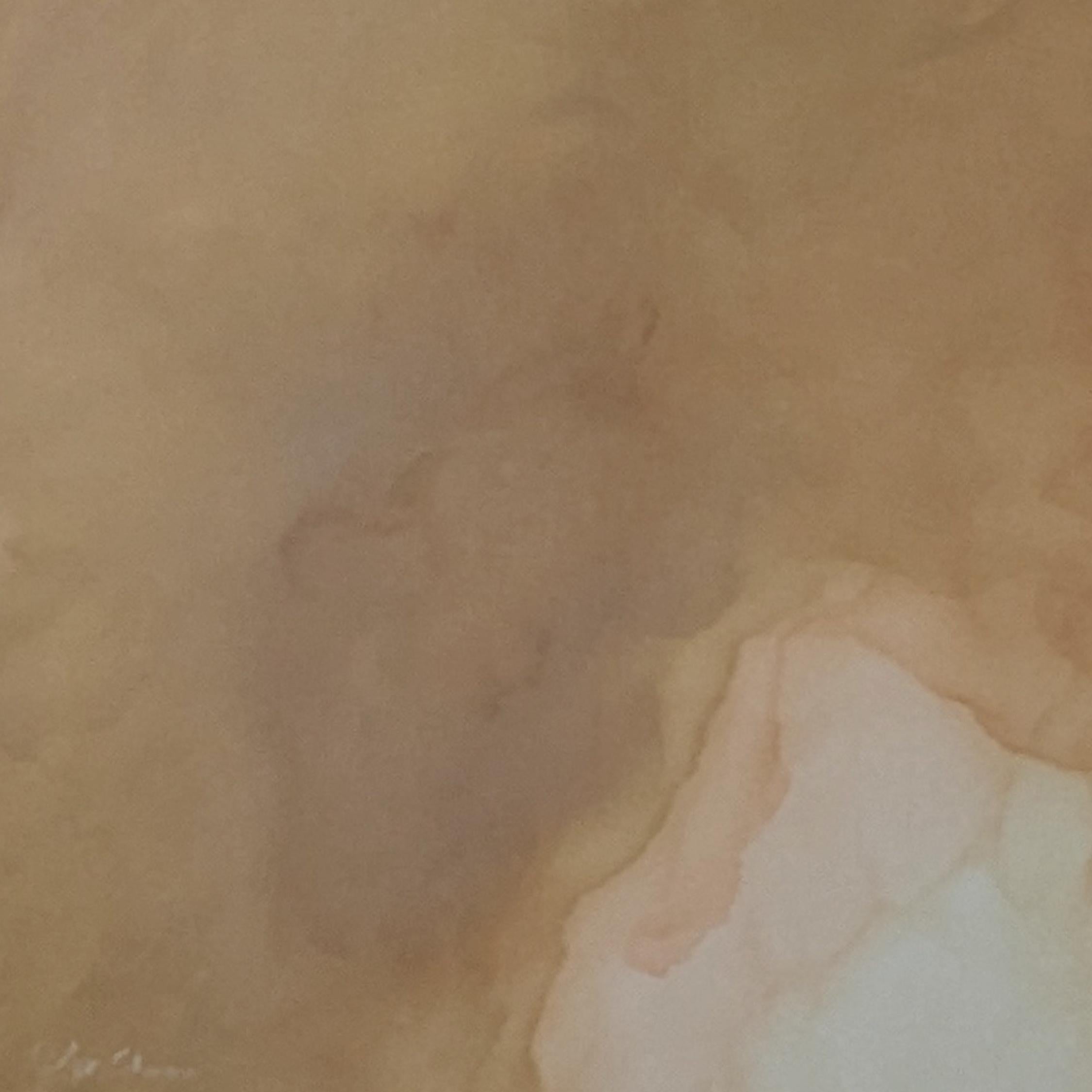 Rusted Murmure von Gabriela Azar Schreiner. Zeitgenössische abstrakte Malerei im Angebot 3
