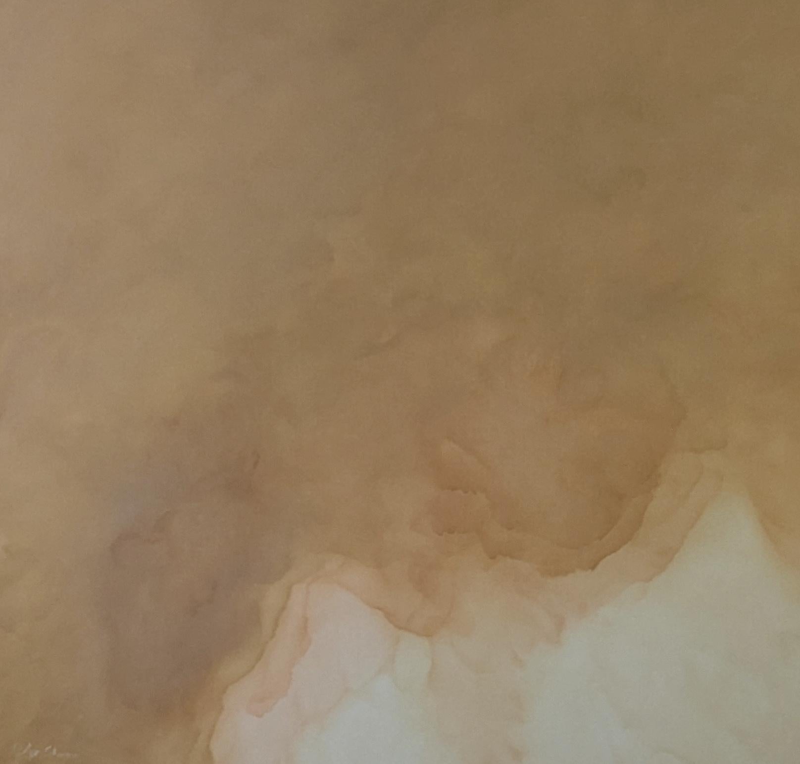 Rusted Murmure von Gabriela Azar Schreiner. Zeitgenössische abstrakte Malerei im Angebot 6