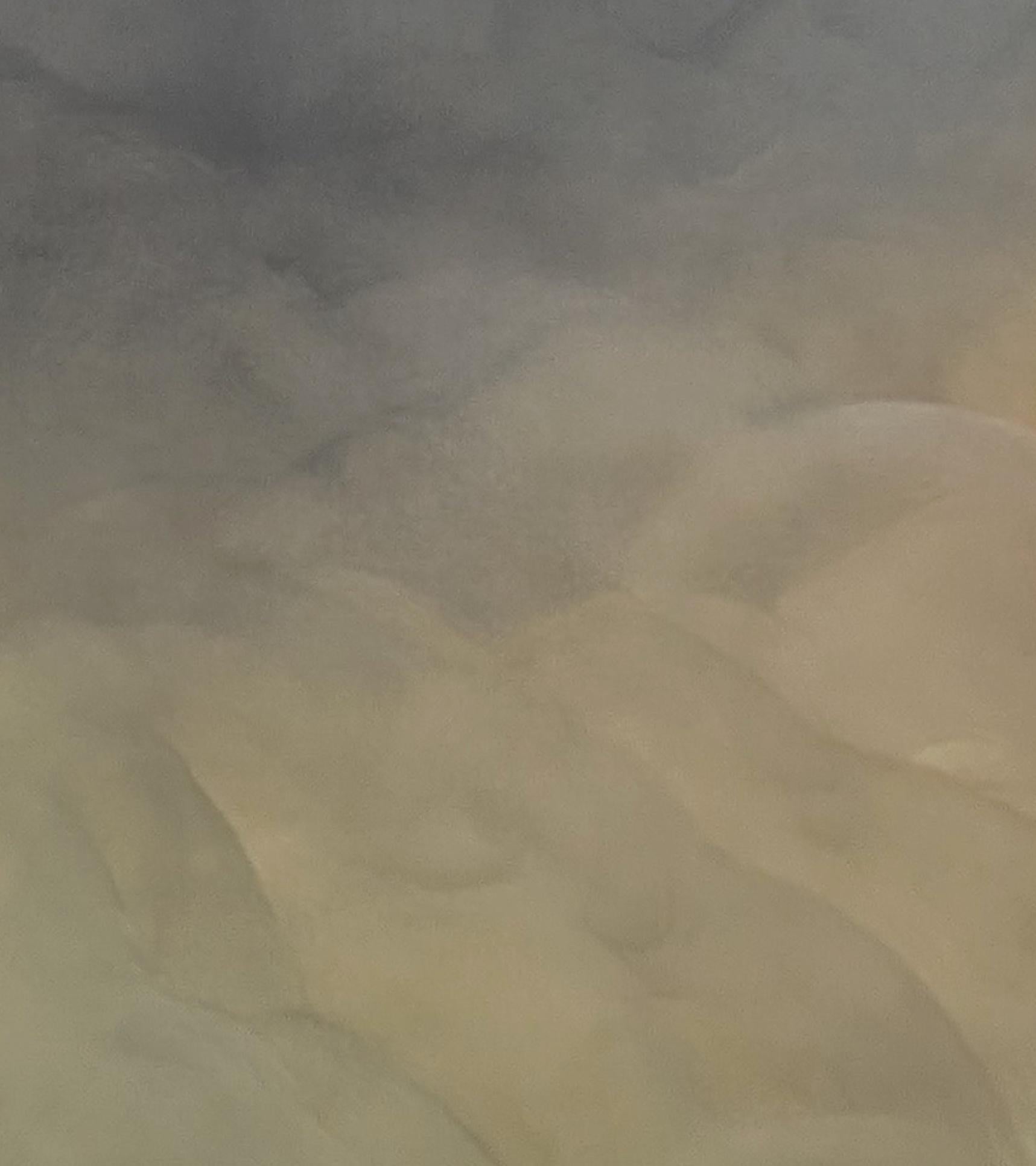 Shadowed Calm  Gabriela Azar Schreiner. Contemporary abstract Painting For Sale 4