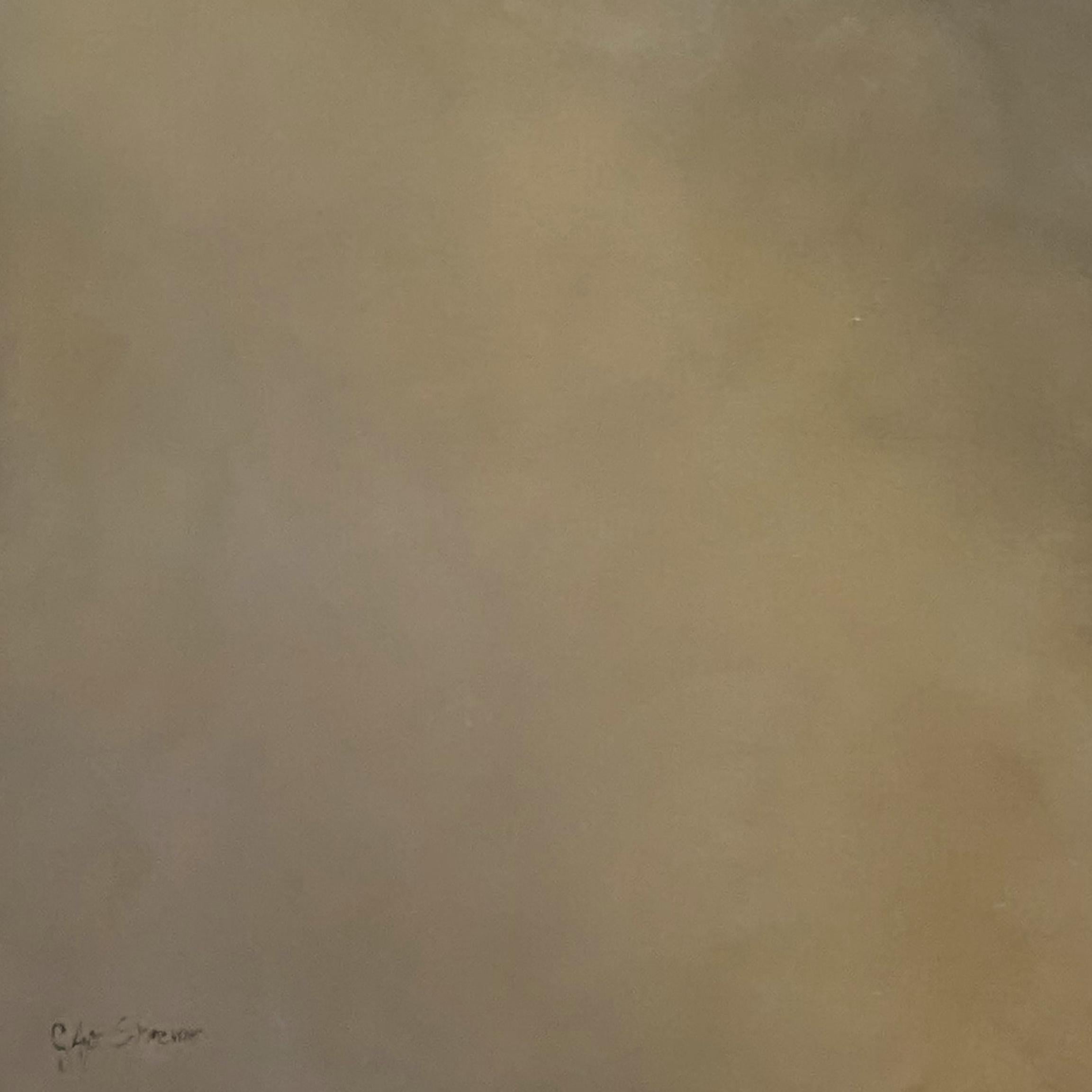 Sunset's Whisper by Gabriela Azar Schreiner. Contemporary abstract Painting For Sale 7