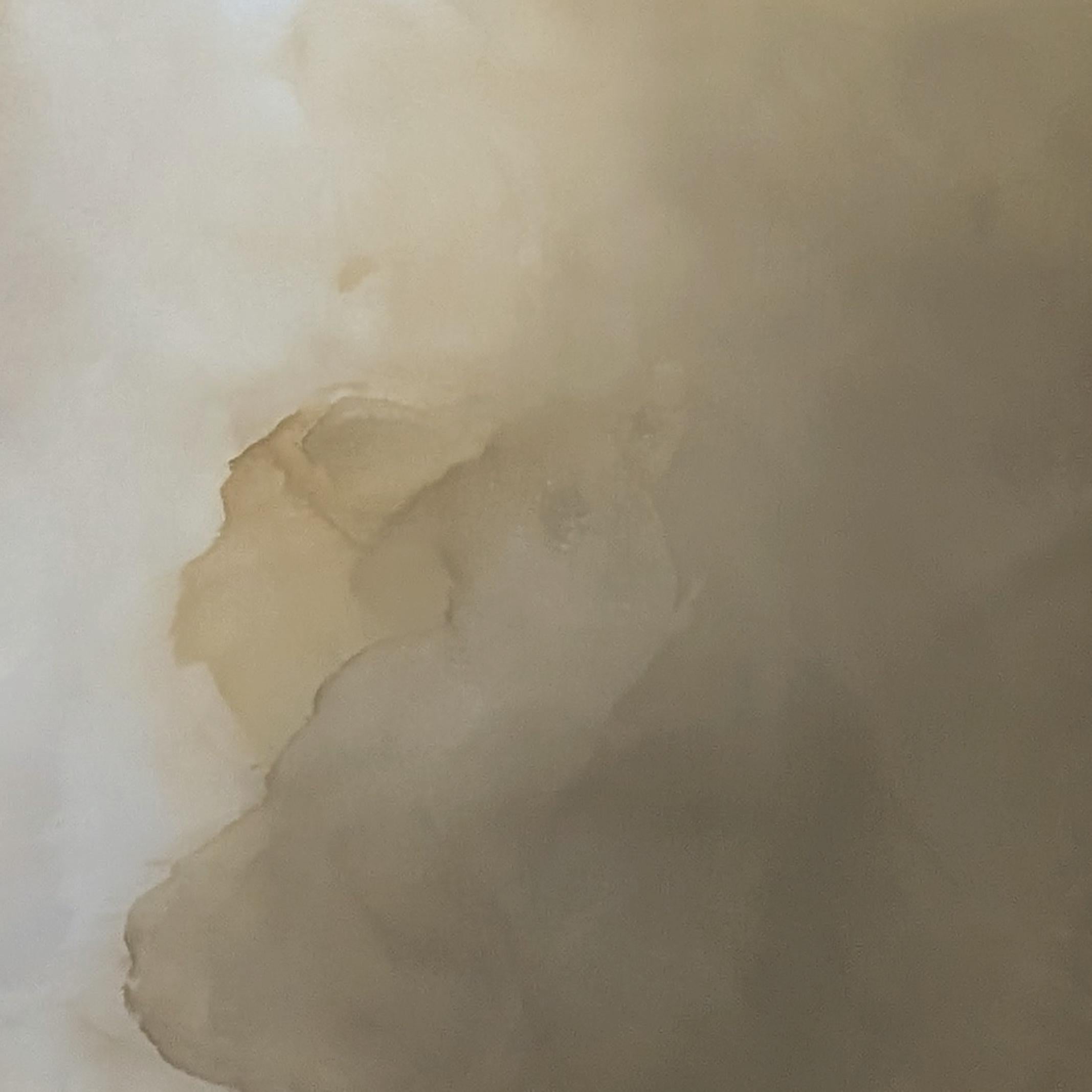 Veiled Brilliance  by Gabriela Azar Schreiner. Contemporary abstract Painting For Sale 3