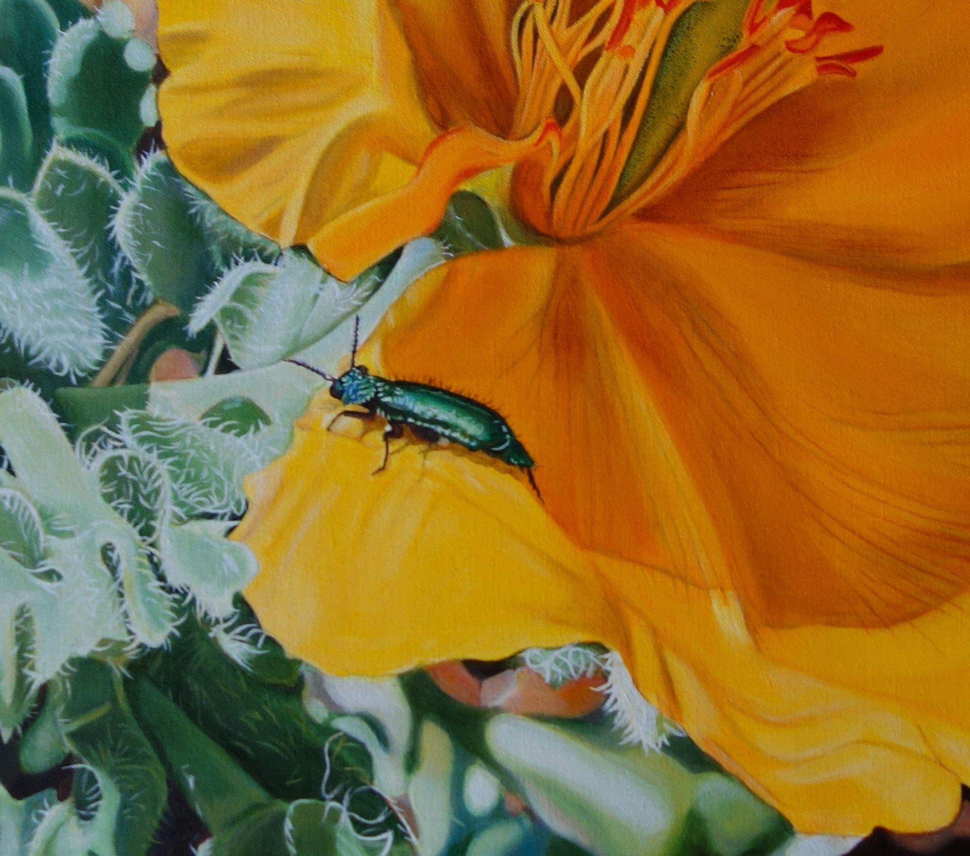 Always on the lookout for beauties from the animal and plant world, I came across the yellow poppy on the   on a Mediterranean beach (Costa Blanca) in spring.  I was doubly lucky, because the bright yellow plant had just been visited by a shiny