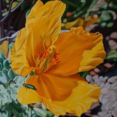 Yellow horned Poppy / The Visitor, Painting, Oil on Canvas
