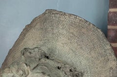 Bronzebüste von Gabriele Parente