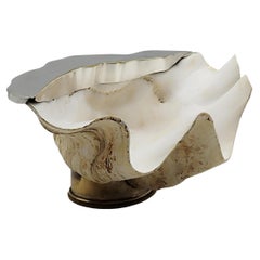 Gabriella Binazzi Attr. Tridacna Gigas Shell on Brass Base, Italy 1970s