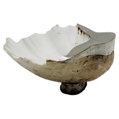 Gabriella Binazzi Attr. Tridacna Shell on Brass Base, Italy 1970s