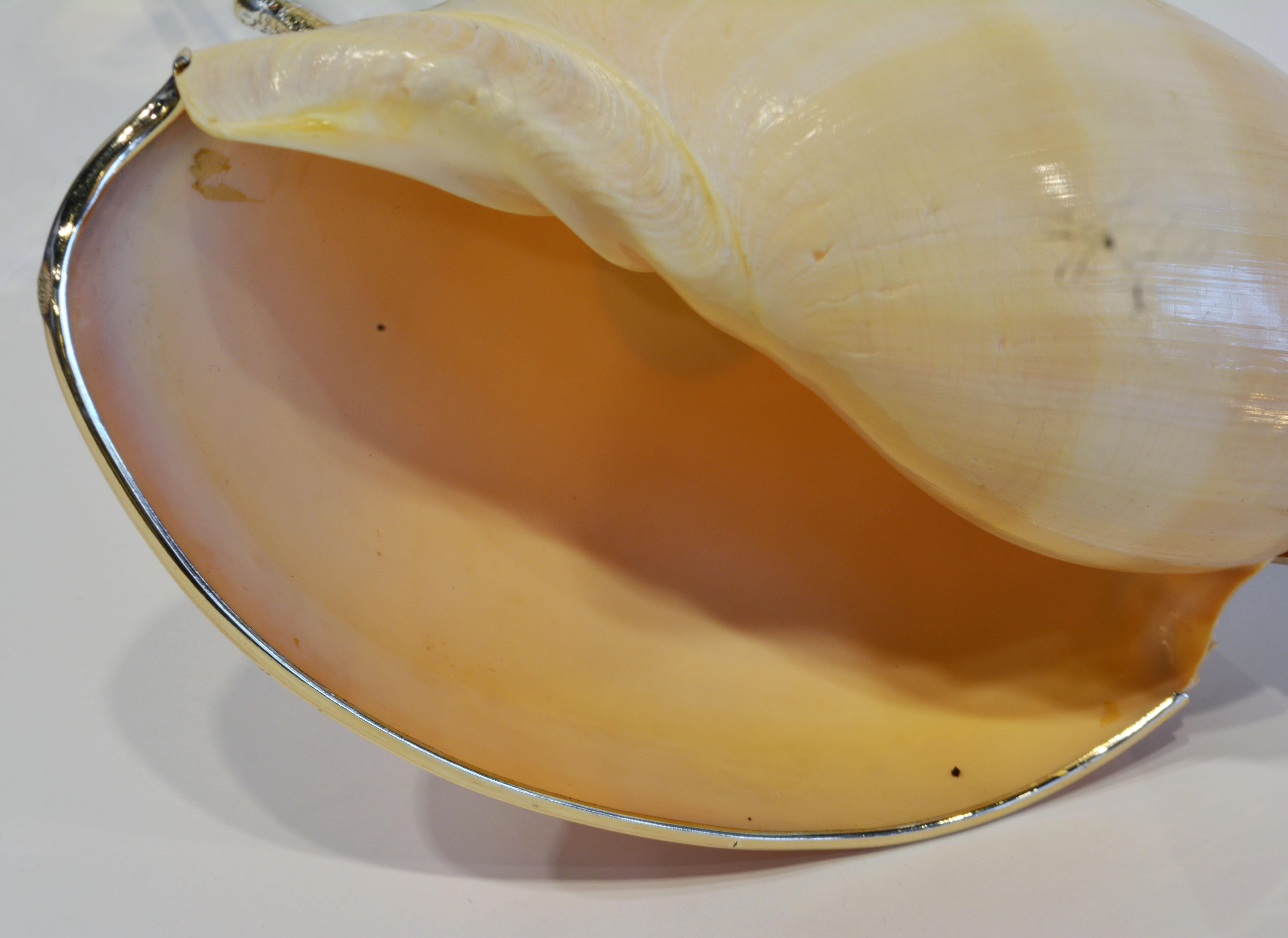 Gabriella Binazzi Design Silver and Gold Plated Crane with Sea Shell Body 2