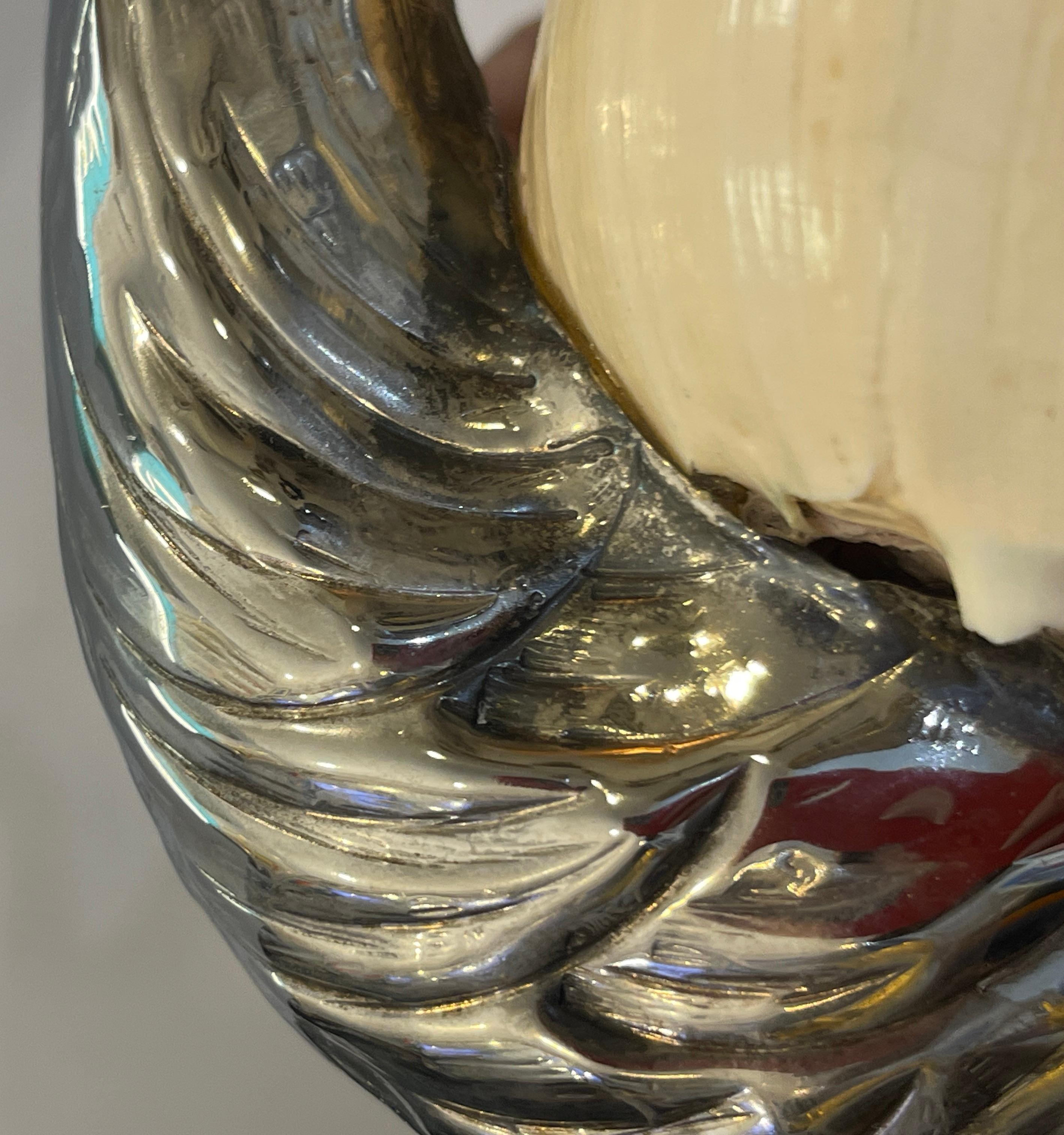 Gabriella Binazzi, plaque d'argent, laiton et grand coquillage Swan en vente 9