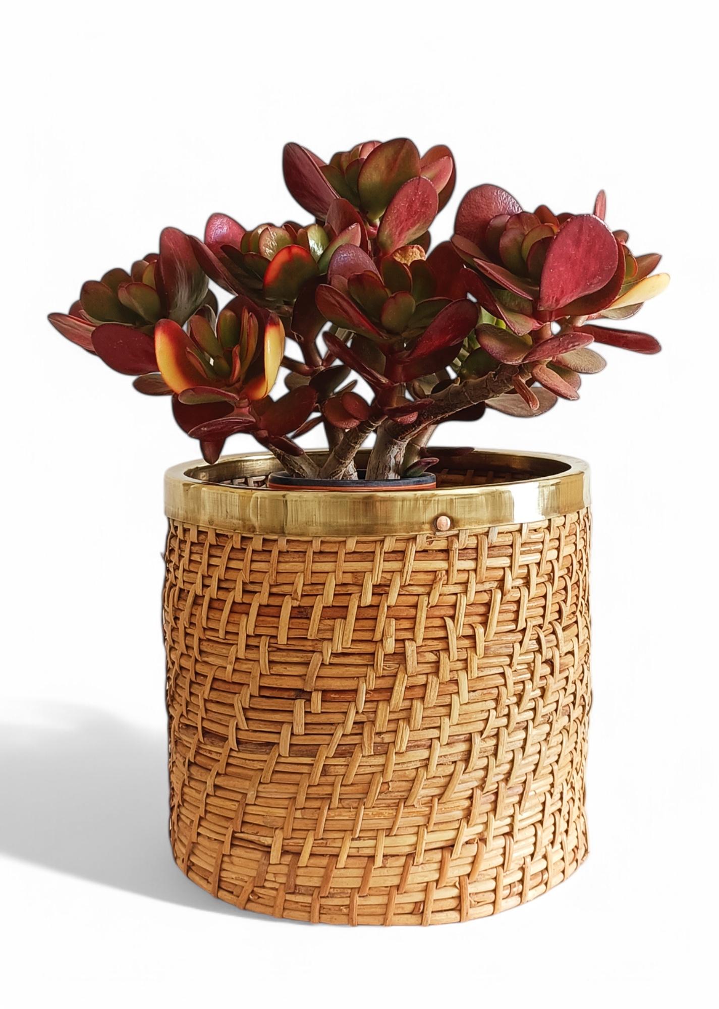 French Riviera Midcentury Rattan and Brass Basket Planter, Italy, 1960s For Sale 5