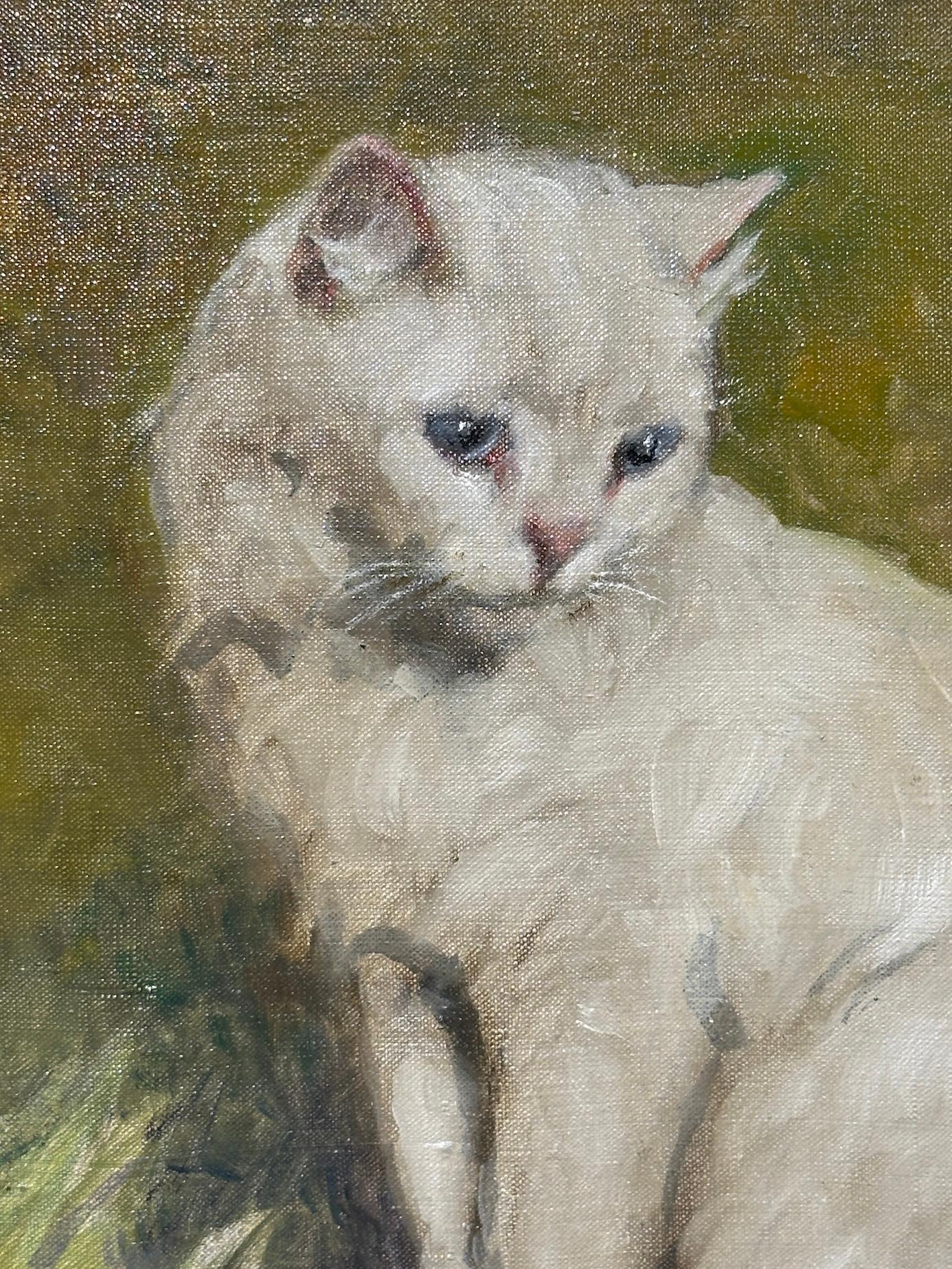 Cats at play, portrait of a cat and a Kitten playing with a glove in a landscape For Sale 2