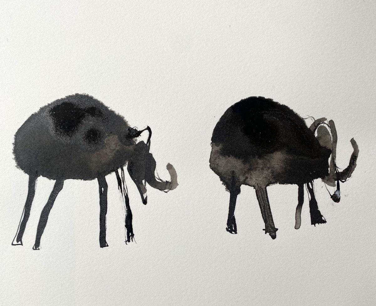 Gabrielle Pool’s inks on paper are simple and charming.  Using an unforgiving medium she produces work that is delicately poised between reality and abstraction with an underlying humour that reflects a positive vision of the world.

Ink on