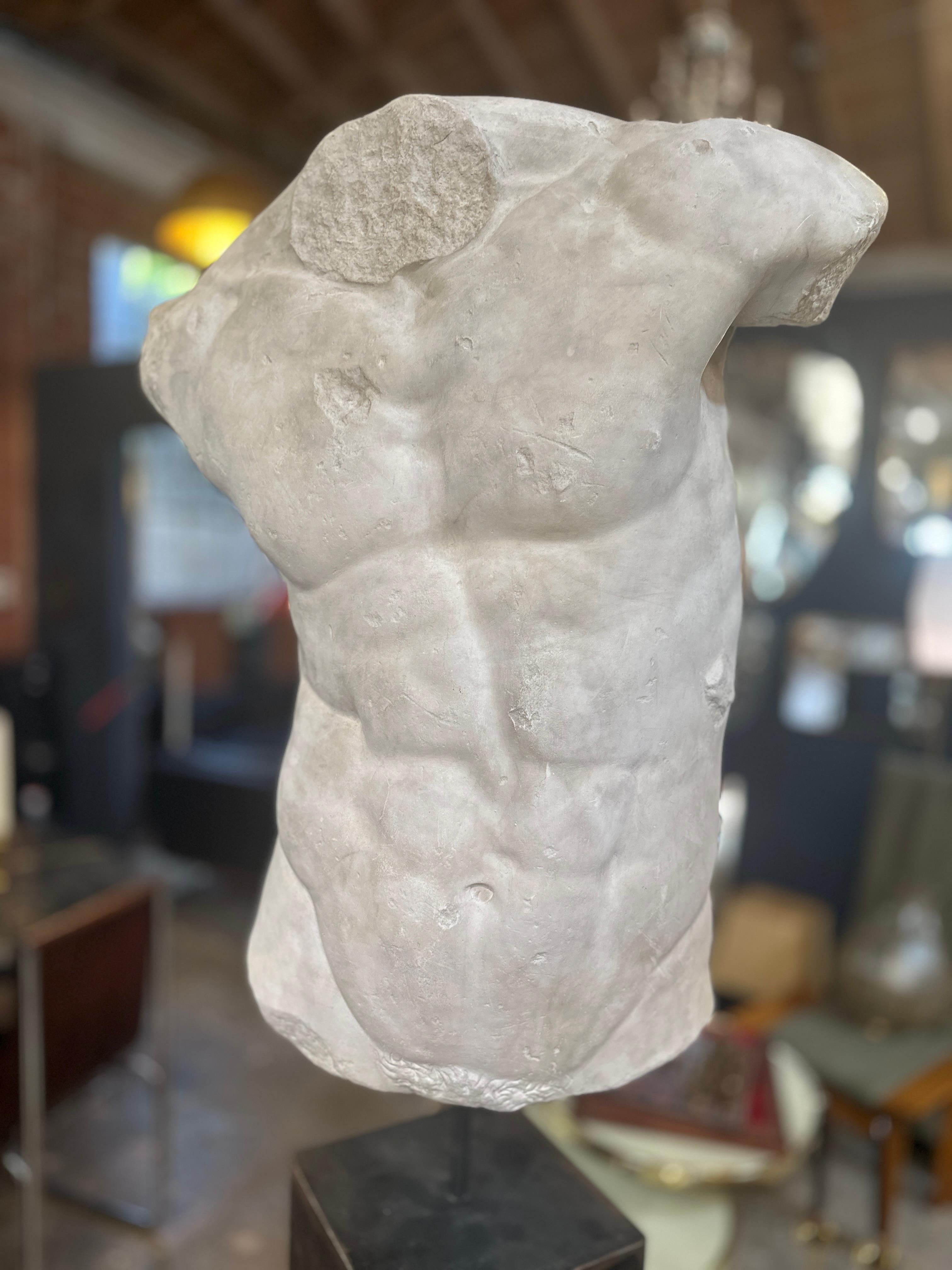 Mid-Century moderno Torso di Gaddi, busto in gesso, copia in scala 1/1 in vendita